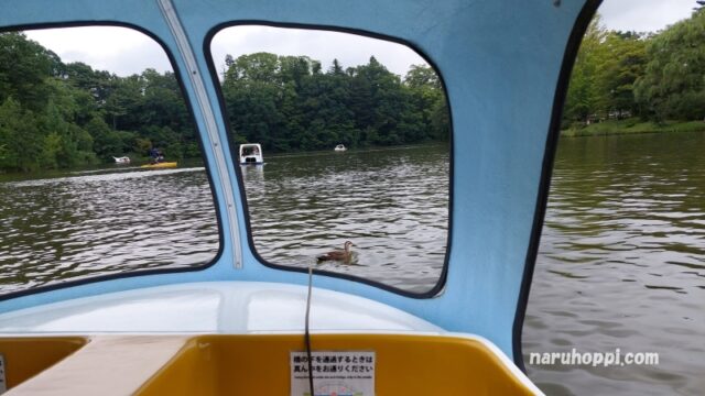 塩沢湖の白鳥ボートからの眺めの写真